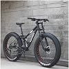 26 Inch Mountain Bikes, Adult Boys Girls Fat Tire Mountain Trail Bike, Dual Disc Brake Bicycle, High-carbon Steel Frame, Anti-Slip,21 Speed