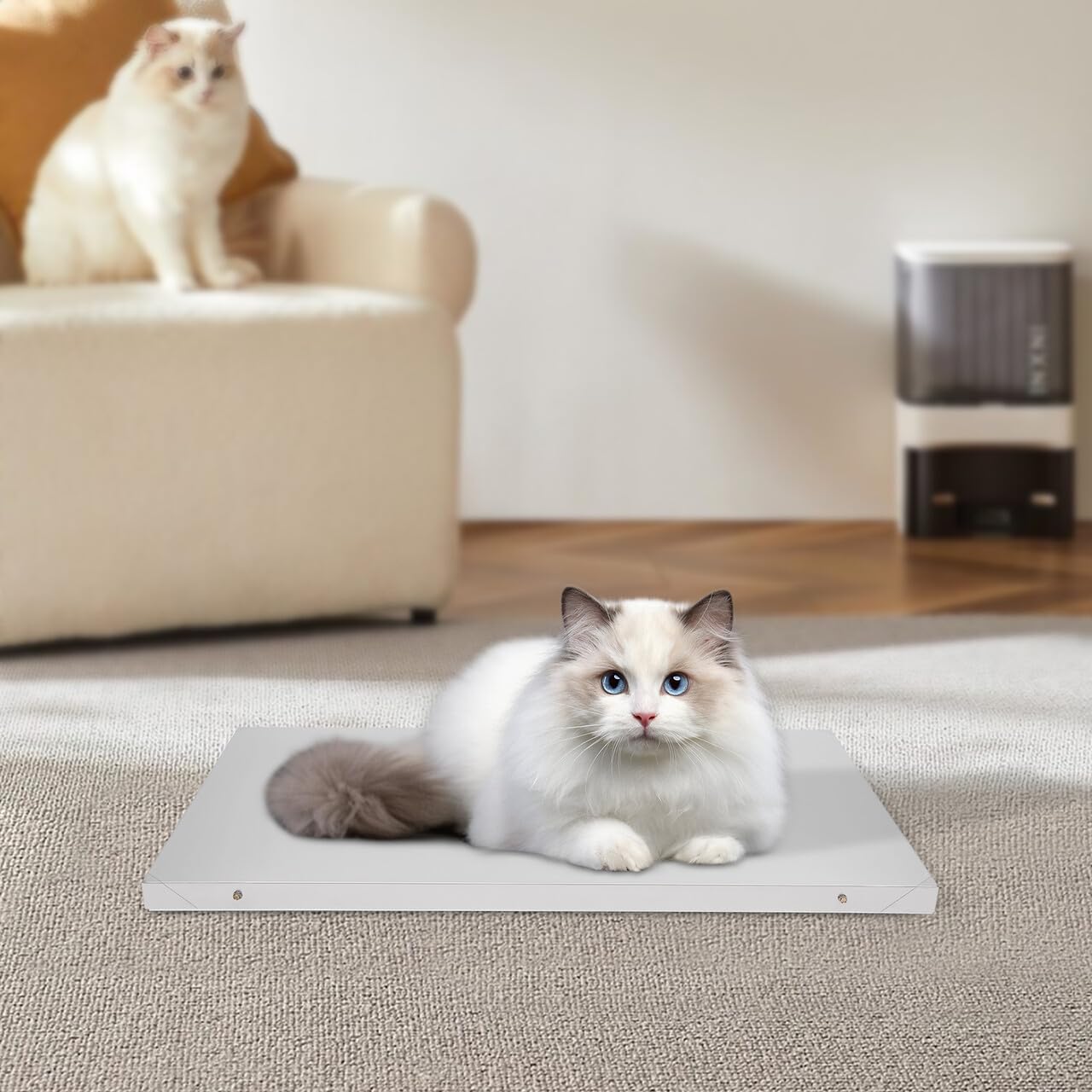 Bilancia da pavimento, per animali domestici, per animali domestici, casa, clinica veterinaria, 300 kg, 103 x 53 cm