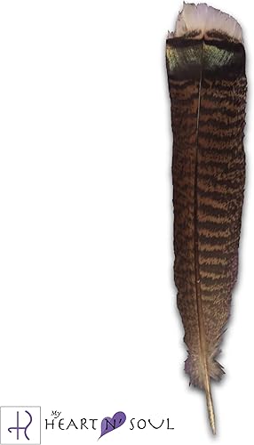 Miniatura 2 de Kit de manchas de lujo con salvia, pluma hecha a mano, arena, concha de abulón, soporte, limpieza energética, práctica espiritual, manchas en casa,