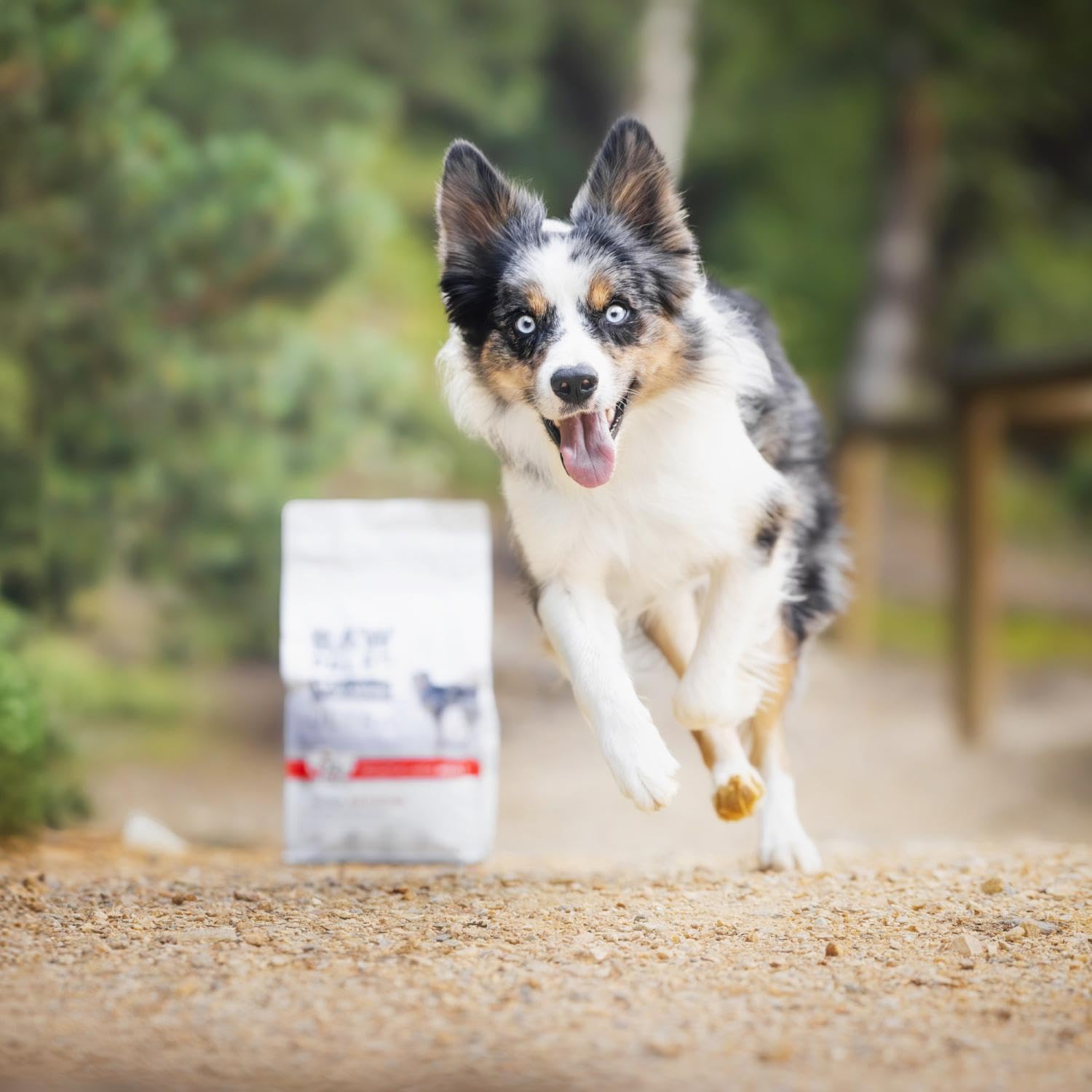 RAW PALEO ULTRA BEEF PUPPY M/L Sucha Karma z Wołowiną dla Szczeniąt Średnich i Dużych Ras 10kg