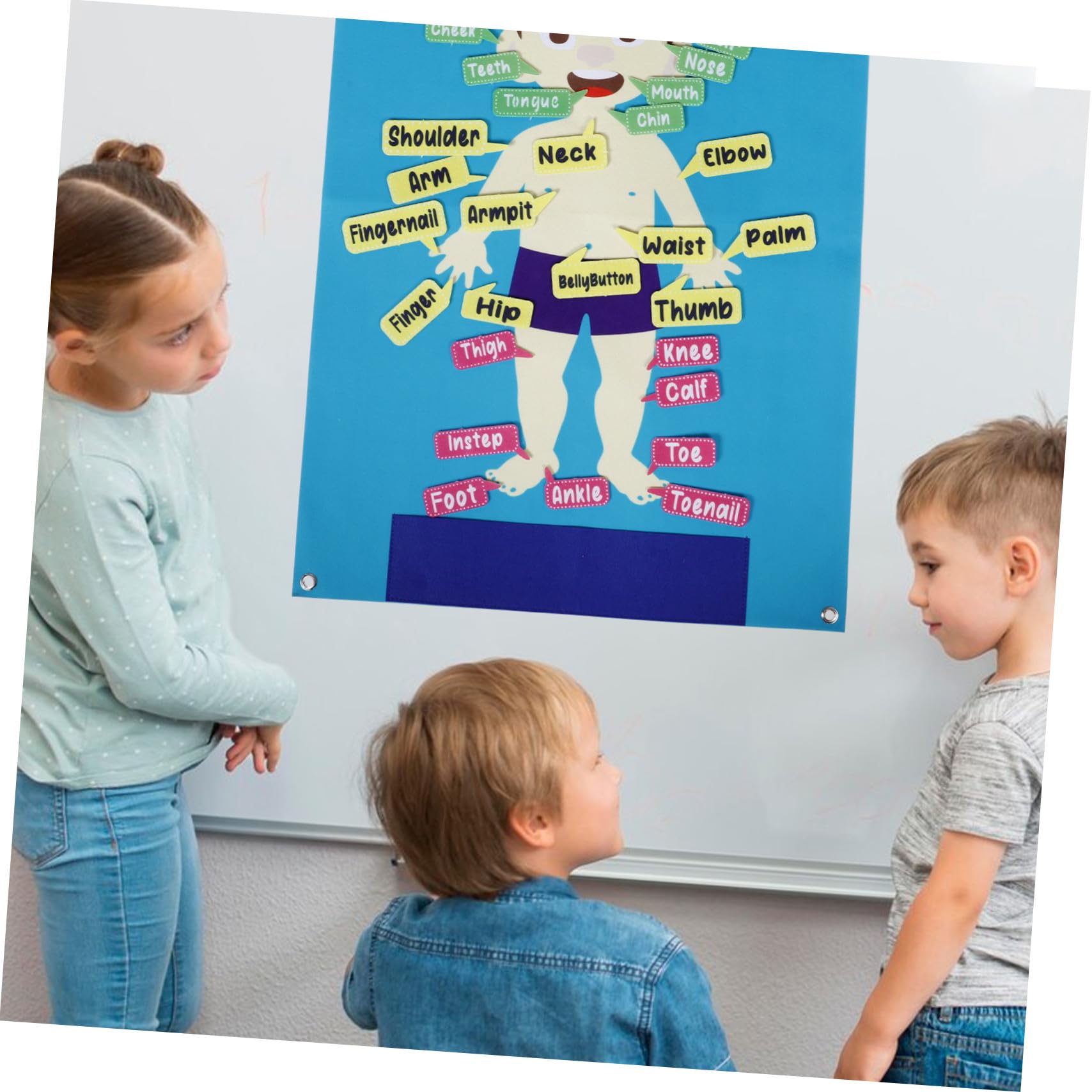BESPORTBLE Tablero de Fieltro Forma de Cuerpo Humano para Niños en Edad Preescolar, 82X56 CM, Herramienta Interactiva de Aprendizaje Práctico para Actividades Grupales y Narración