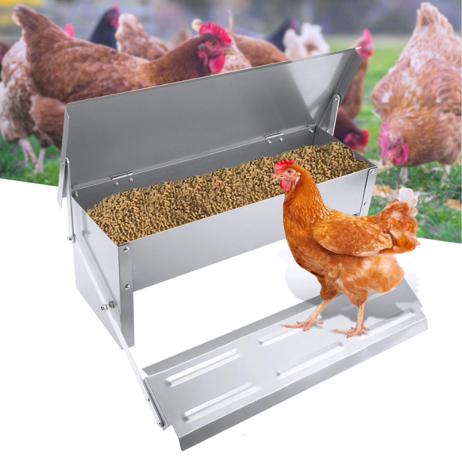 Buy 6KG Auto Chicken Feeder Rat Proof/Waterproof, Automatic Galvanized