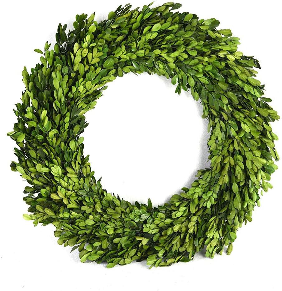 Preserved Boxwood Wreath 16 inches Home Decoration Full Green Indoor Décor for Halloween, Christmas Wedding All Seasons Home Decor (Wreath, 16")