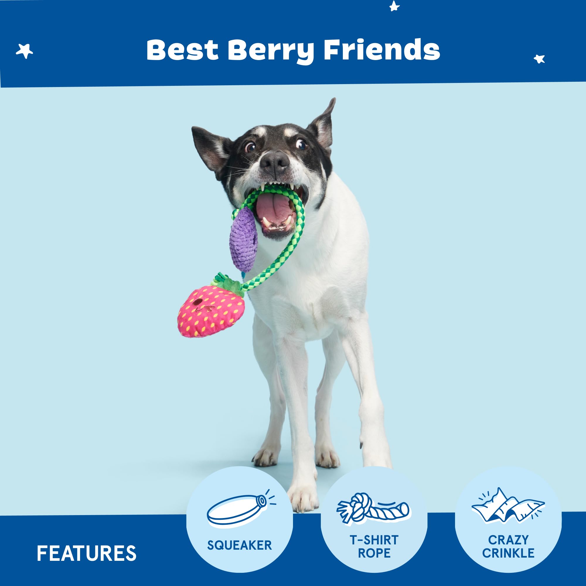 BARK Dog Toy Berry Best Friends Squeaky Toy for Dogs Plush Strawberry and Grape both with Squeakers - Image 4