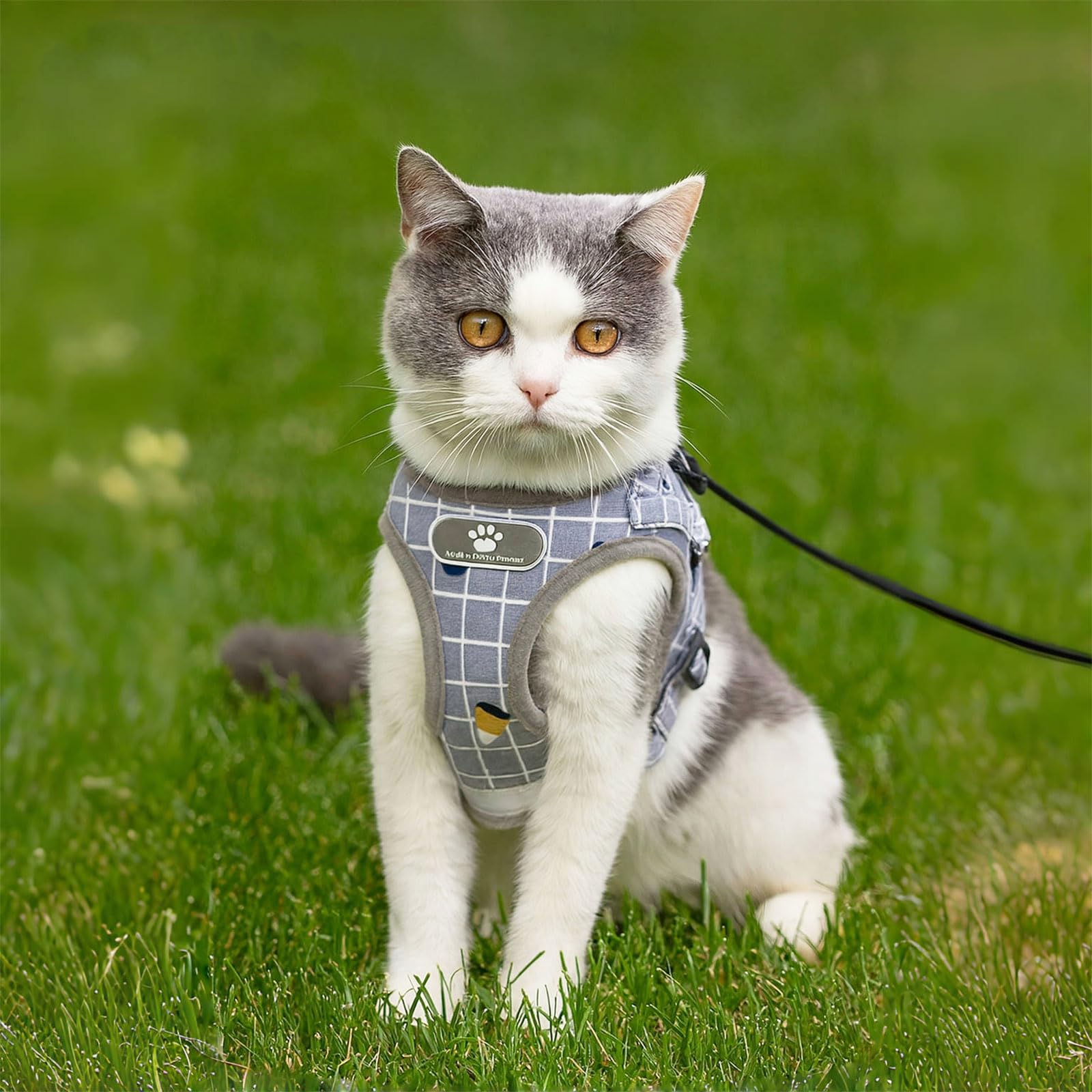 Set pettorina e guinzaglio gatto catarifrangente rete traspirante regolabile 5 m grigio S