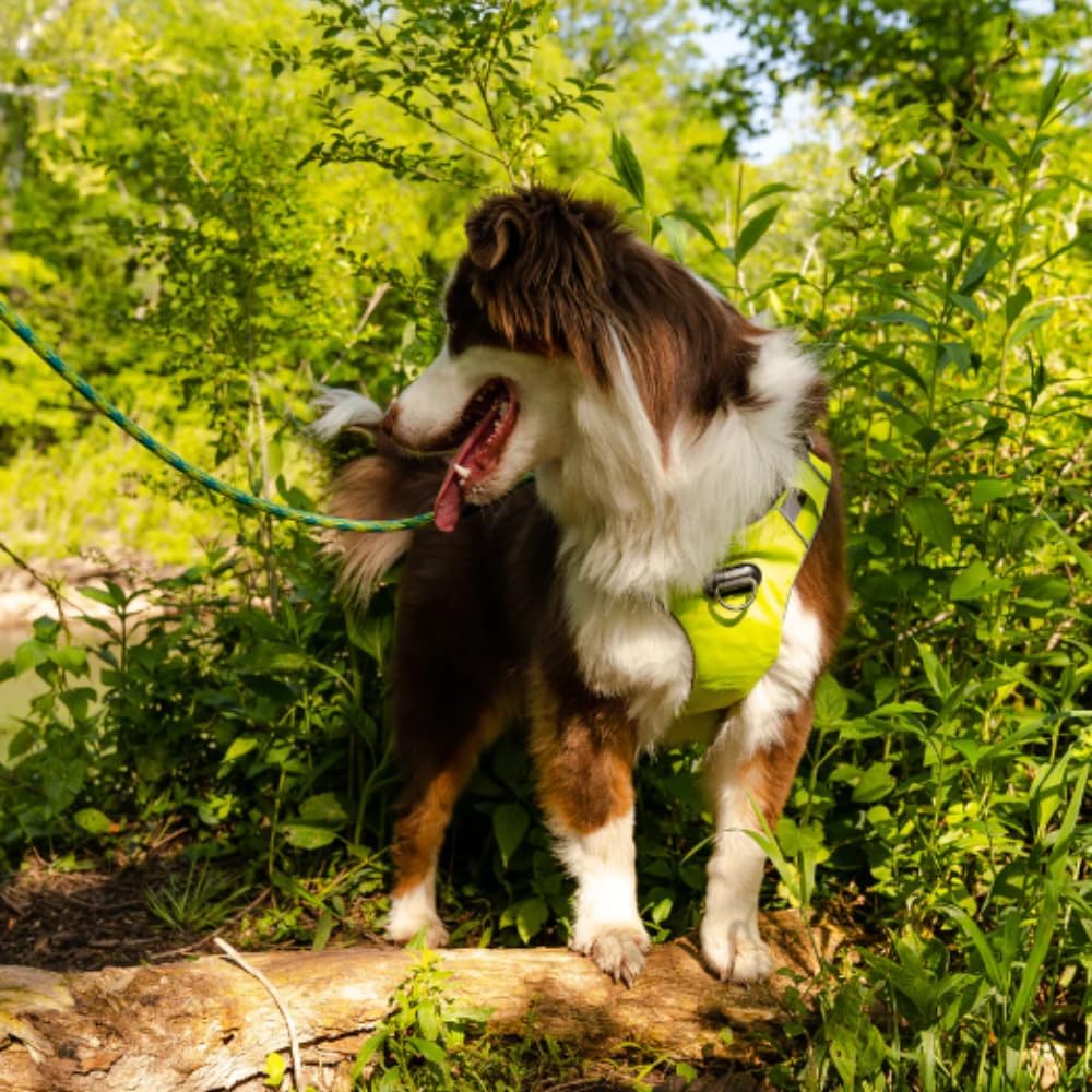 Millvue Raspberry Pink Dog Harness with EZ FIT Buckles Materials That are Waterproof, Durable, and Padded for Extra Comfort - Dog Accessories by AlphaPak - Size X-Large