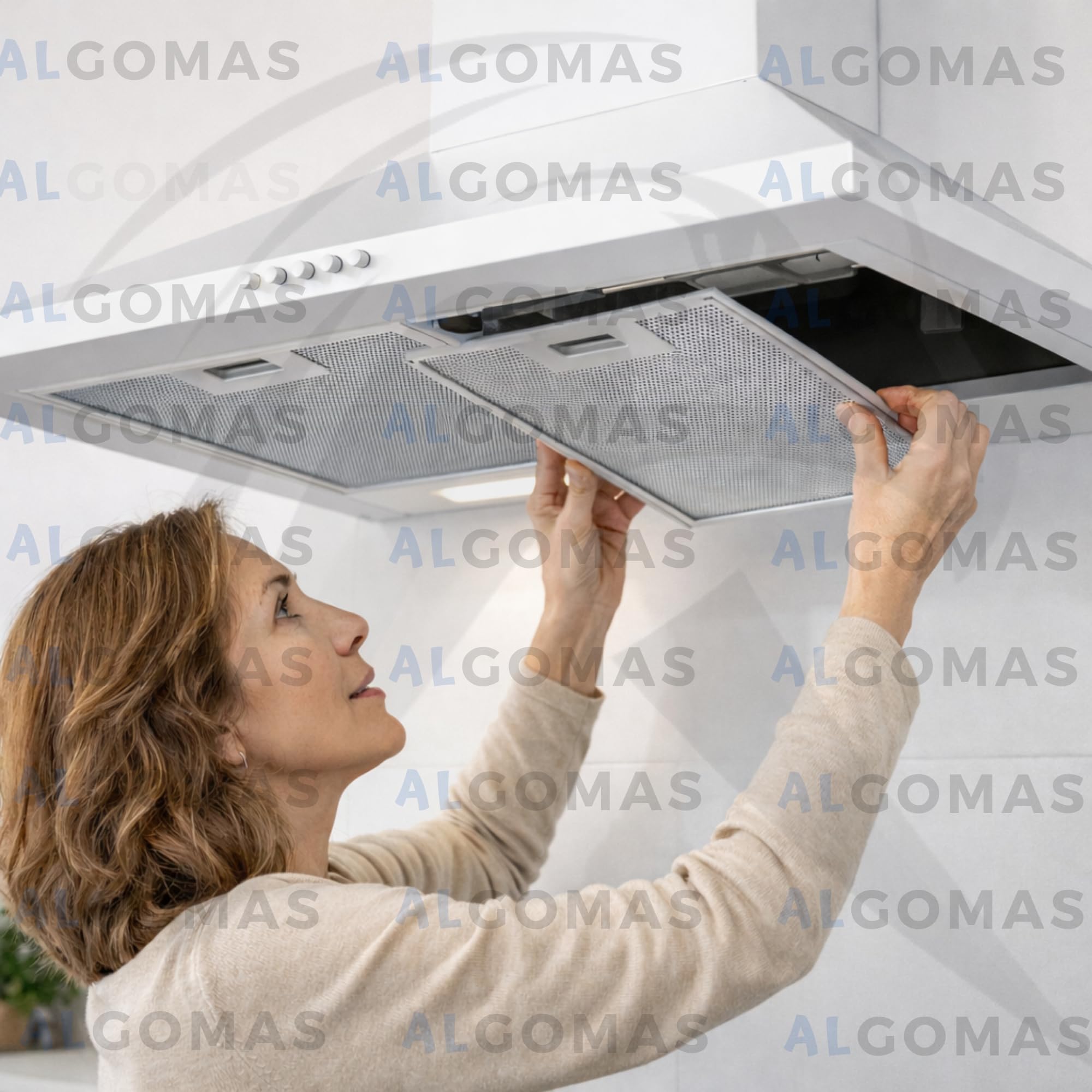 ALGOMAS® Filtros Campana Extractora Pack 2 | Filtro Metálico Antigrasa Aluminio 26x32 cm | Repuesto Compatible con Cata Ref. 2800905 | Protege Motor y Aire Cocina · imagen 8