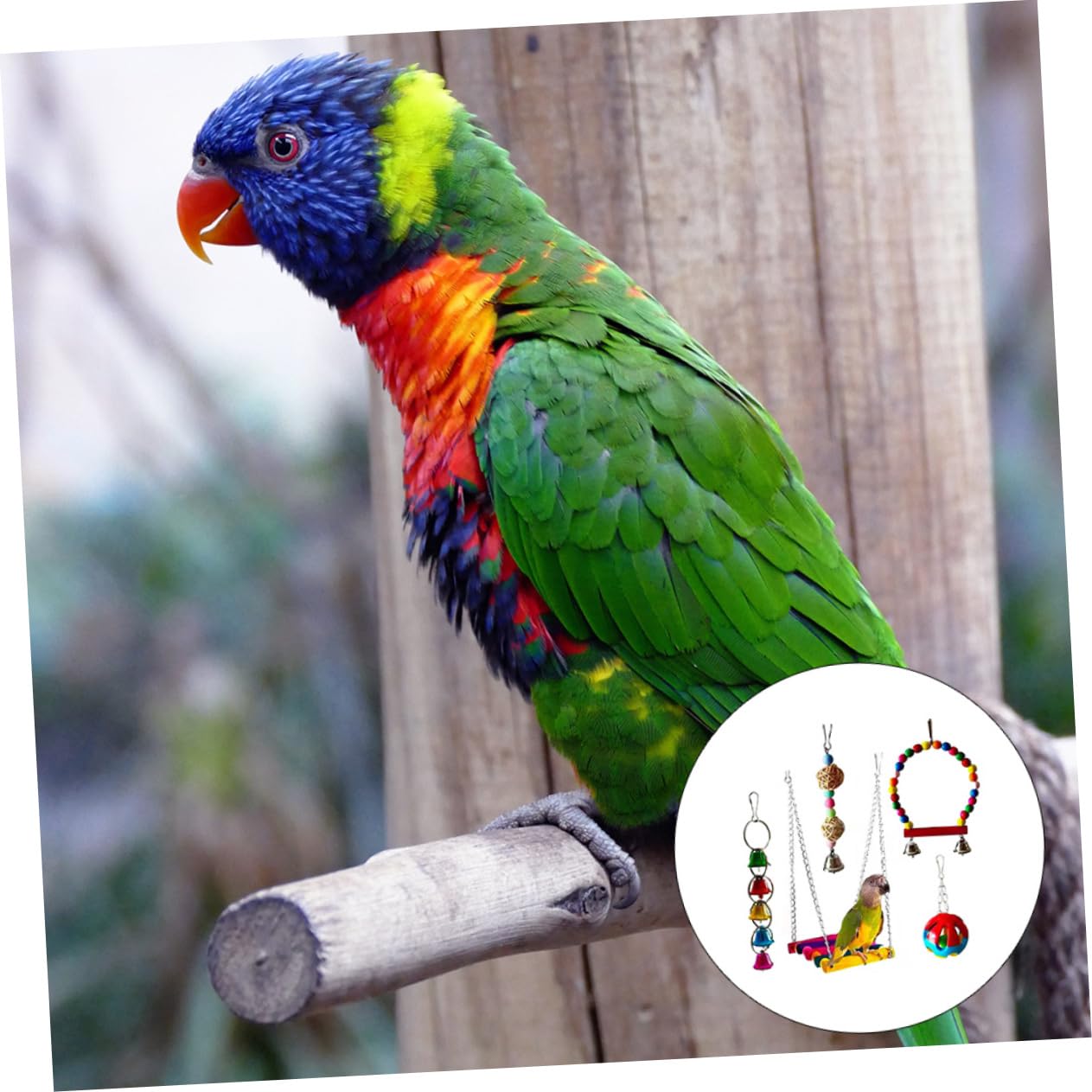 Beaupretty Lot De 5 Jouets À Mâcher pour Oiseaux Jouet À Mâcher pour Perroquet À Mordre pour Animaux De Compagnie Ensemble De s pour Oiseaux Léger Et Robuste