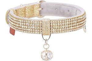 PetsHome Bling Dog Collar for Medium Dogs