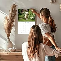 Vista 478 de Razas de Perros 2017