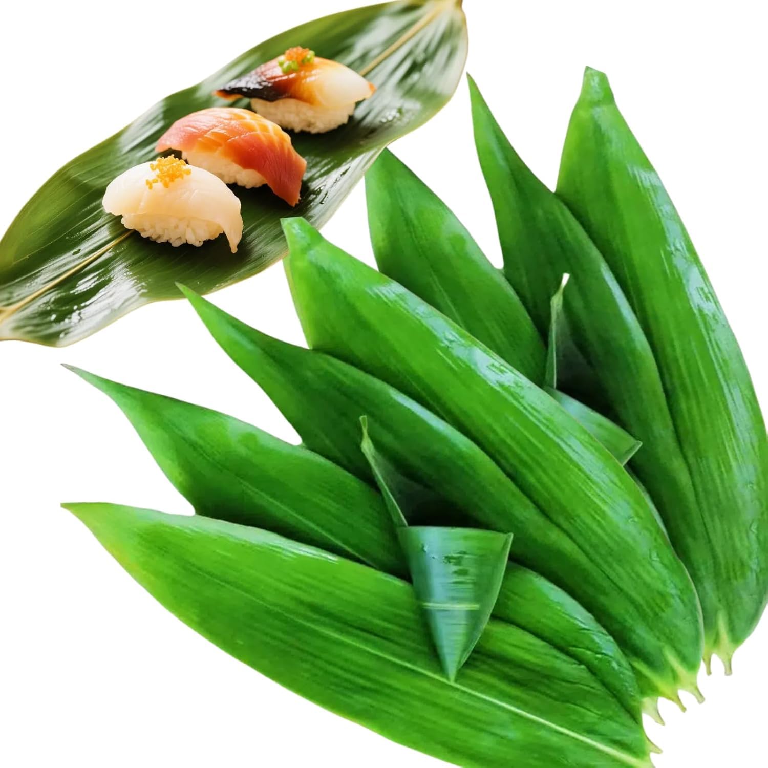 SntCrave Premium Bamboo Leaves for Zongzi – 100 Count (180g) | Natural Reed Leaves, Traditional Chinese Rice Dumpling Wrappers | Ideal for Sticky Rice, Meat Fillings, Sushi Liners & Food Decoration