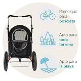 Ver la foto 8