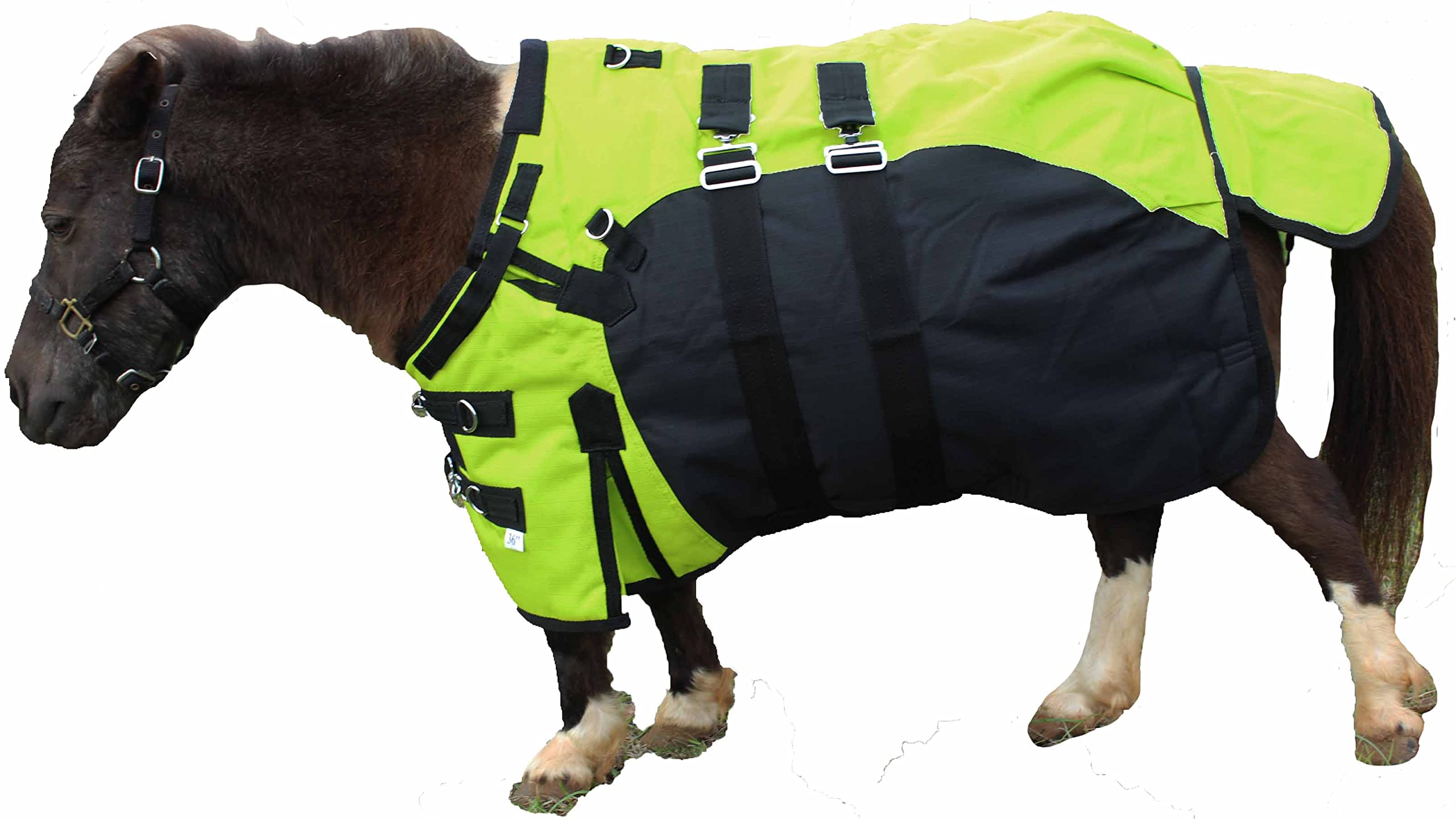 Challenger 1200D Miniature Weanling Donkey Pony Horse Foal Winter Turnout Waterproof Breathable Blanket 51975LG