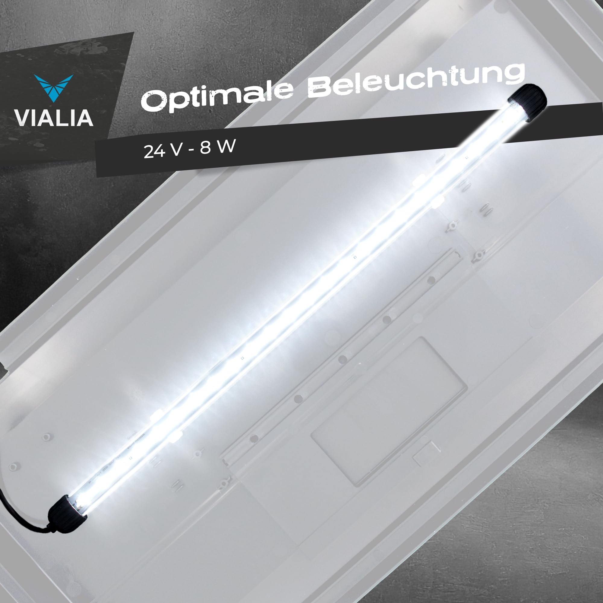 Aquarium 60x30x30 cm, 54 Liter Glasbecken mit Juwel LED, weiß | Kompaktes Süßwasser- und Meerwasser-Aquarium mit weißer Abdeckung, integrierter LED-Beleuchtung und Futterklappe