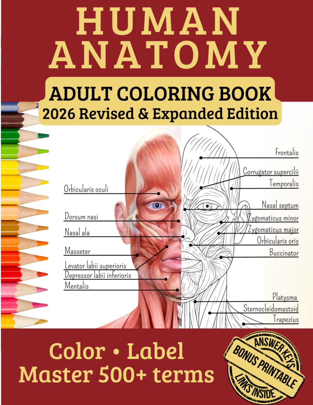 Human Anatomy Adult Coloring Book: A workbook of over 100 pages designed for adults, nurses, high school students, and medical students to help you memorize over 500 scientific terms