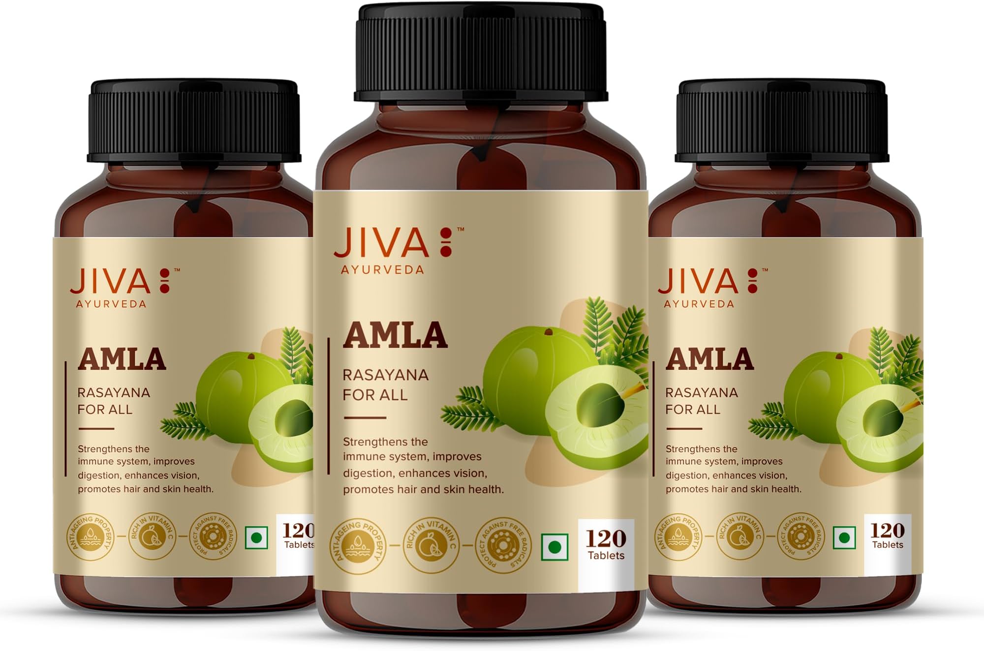 Jiva Amla Tablets 500mg 360 Tablet | 100% Pure Herbs Used, Rich In Vitamin C | Protects Against Free Radicals | Rich In Antioxidants | Improves Digestion | Enhances Vision -120 Tablet (Pack of 3)