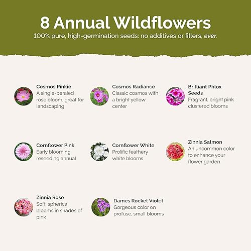 Miniatura 8 de Crazy for Cosmos - Mezcla de semillas de flores Cosmos - 1 libra - Semillas mixtas de flores silvestres, atrae abejas, atrae mariposas, atrae