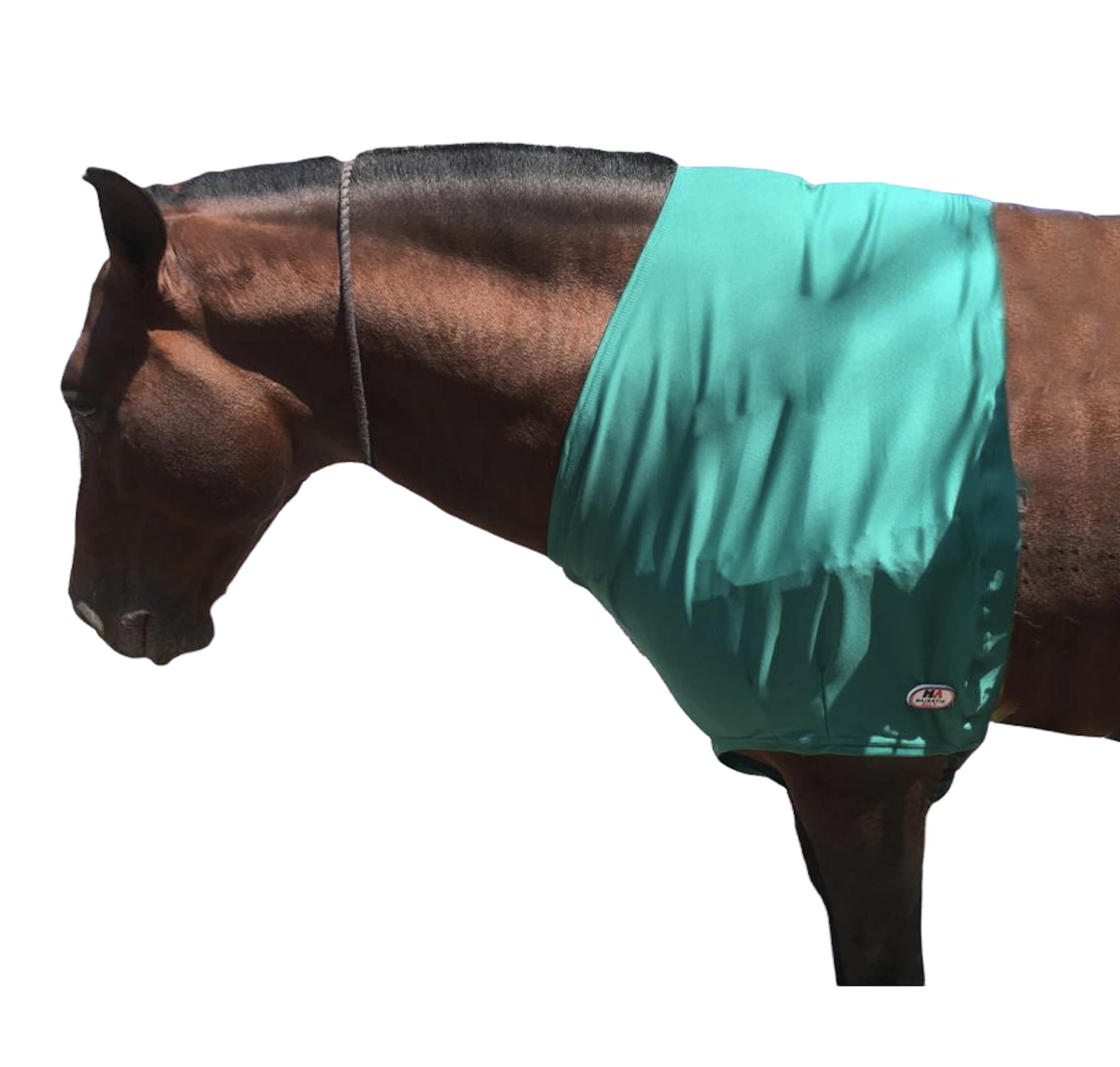 Majestic Ally Protector de hombro y protección para caballo de elastano elástico en 4 direcciones (grande, turquesa)