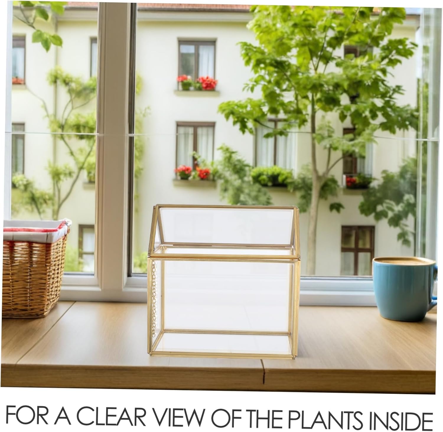 House Terrarium Enchanting Miniature Planter for Indoor Tabletop Greenhouse Succulent Container with Lid for Moss Gardens and Wedding DIY Decor