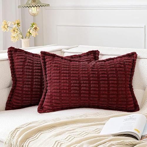 MIULEE Juego de 2 fundas de almohada decorativas de pana coral, fundas de almohada suaves a rayas con borde ancho, decoraciĂłn bohemia moderna para MIULEE Juego de 2 fundas de almohada decorativas de pana coral, fundas de almohada suaves a rayas con borde ancho, decoraciĂłn bohemia moderna para