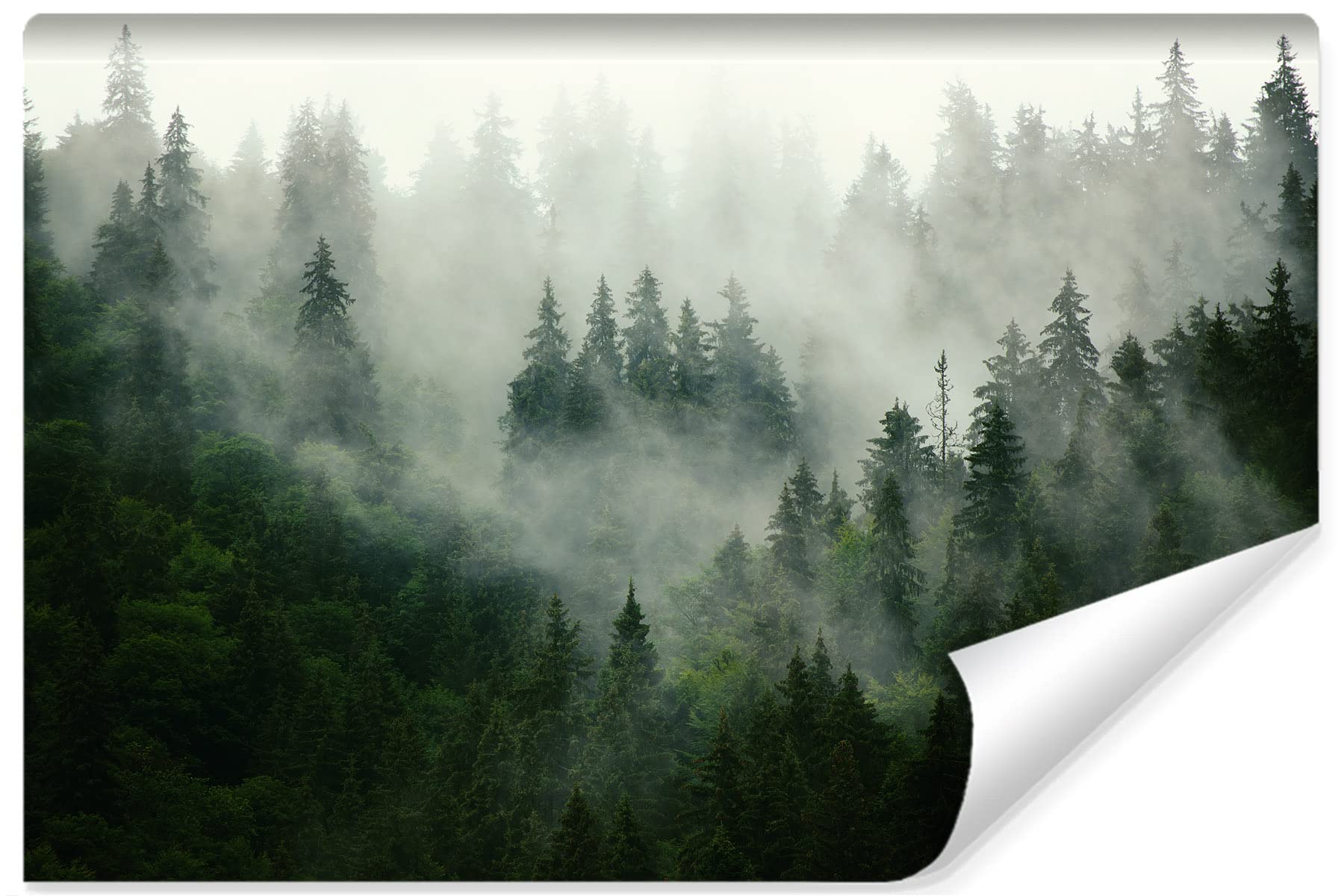Muralo Tapete Vlies Wald, Nebel, Bäume, Grüne Natur, XXL - 520x318 cm | Stimmungsvolle Fototapete, hochauflösender Druck - ideal für Wohnzimmer, Schlafzimmer und Esszimmer, Eine ruhige Waldoase