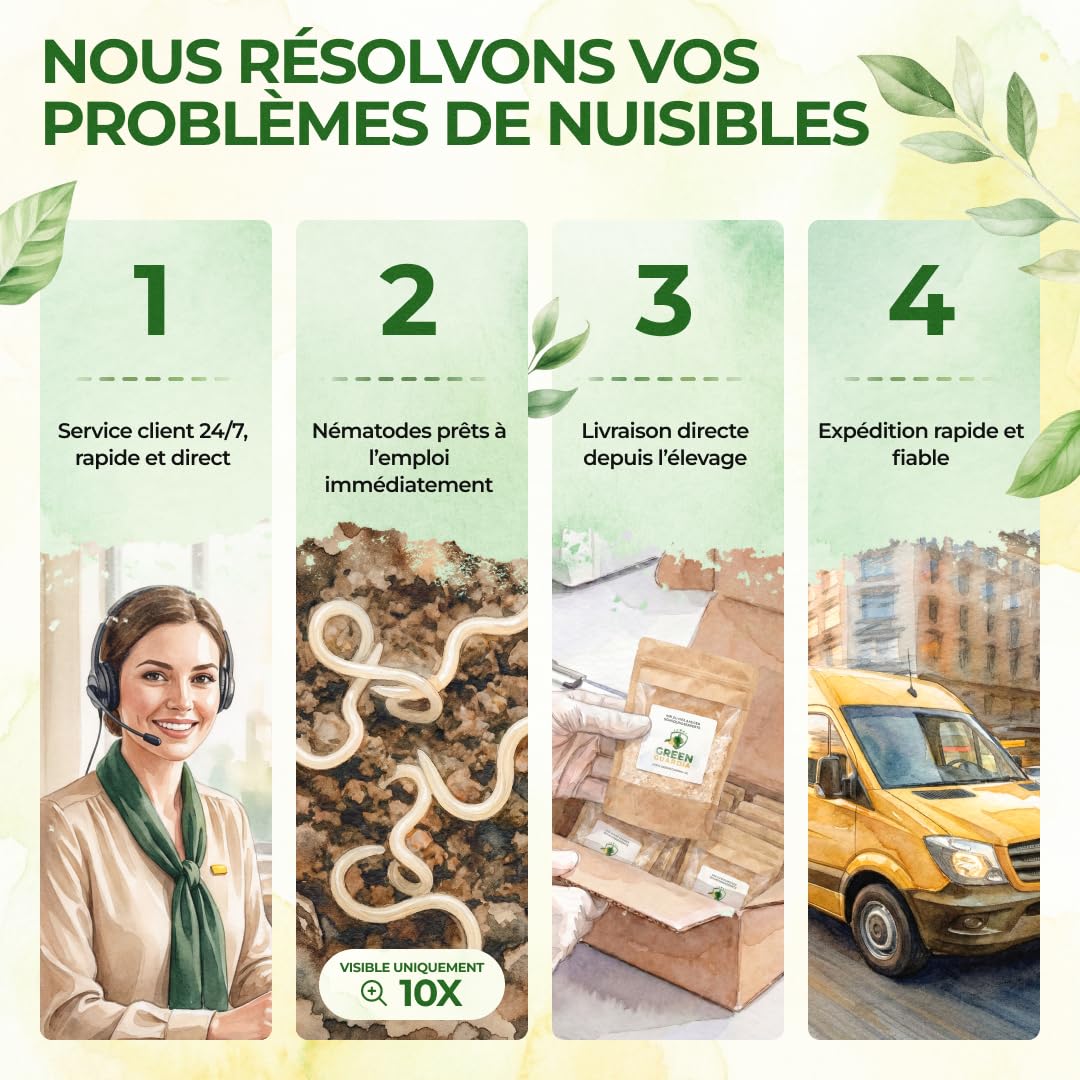 GREEN GUARDIA Super Nématodes SC contre les grillades de taupes, les becs des prairies et les terres extérieures – 200 millions (400 m²) – Produit biologique pour lutter efficacement contre les