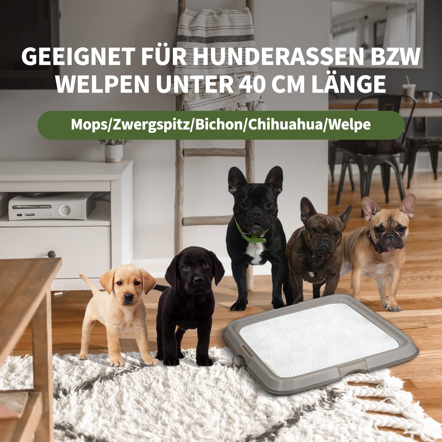PAWISE Hundetoilette für den Innenbereich, Welpen-Trainingspads, Hundetöpfchen-Tablett, tragbares Untersetzer für Haustiere, Hundeklo für Katzen, 49 x 36 cm