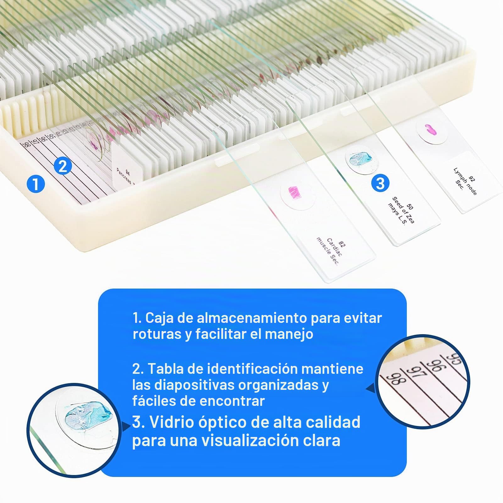 USCAMEL Muestras Microscopio, 100 portaobjetos de microscopio preparados con muestras para niños y Adultos