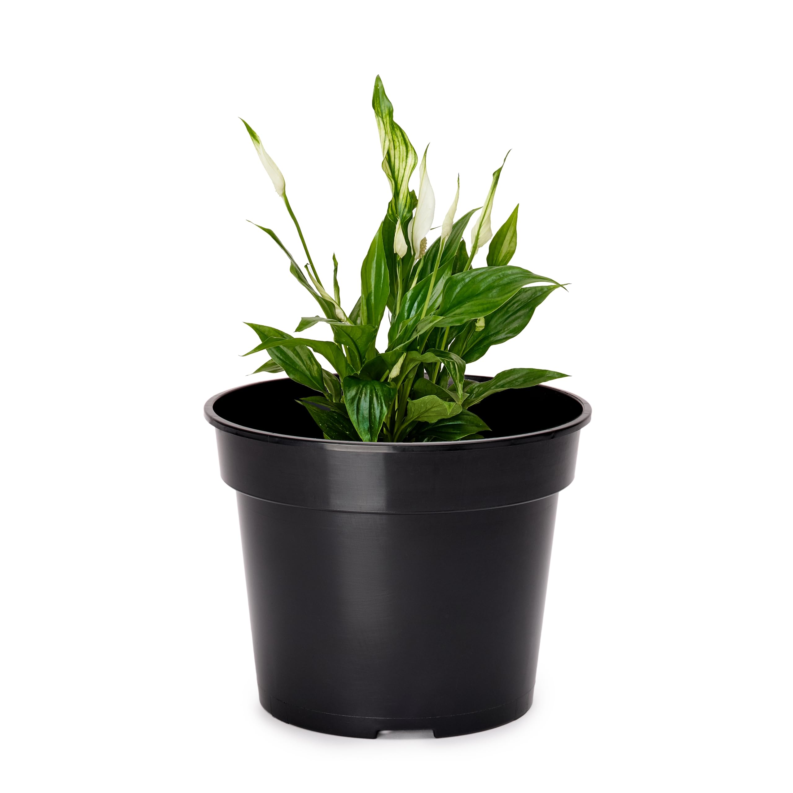 Garronda Pflanztopf Kunststoff Blumentopf rund Ø15 cm Schwarz – Produktangaben