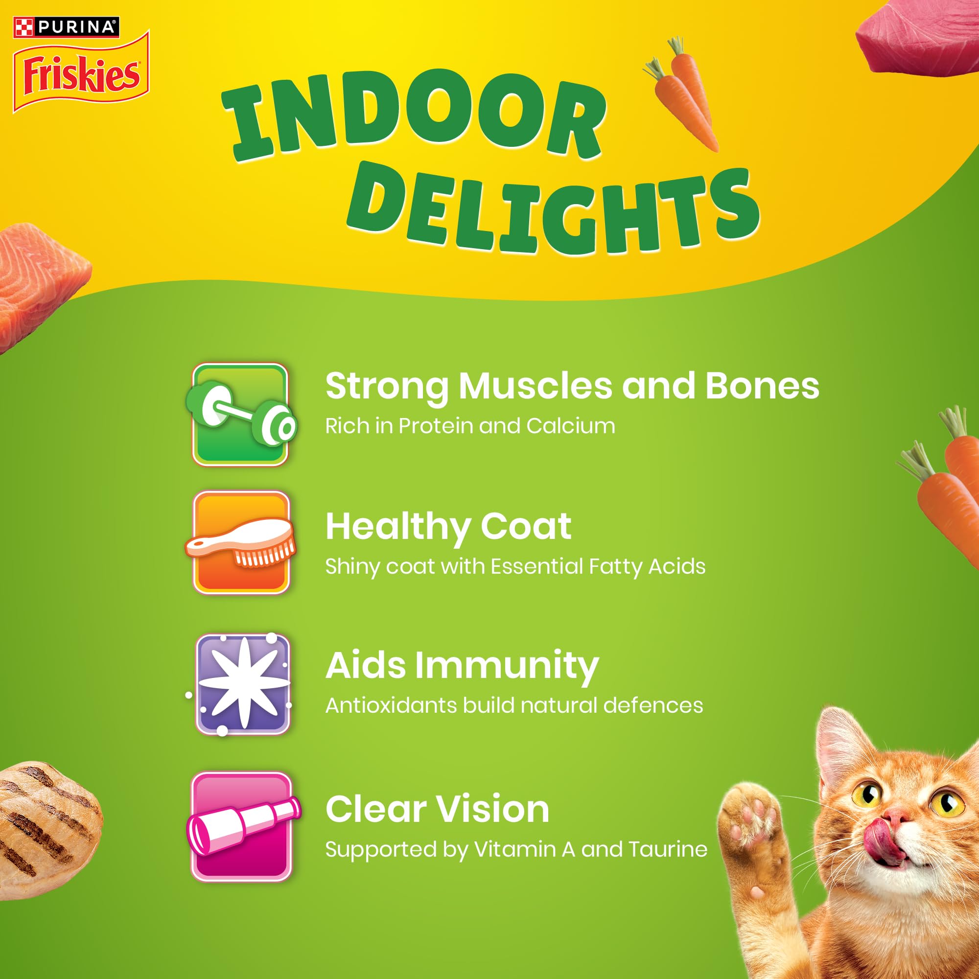 Purina Friskies Indoor Delights, Dry Food for Adult Cats, 1kg Pack 3