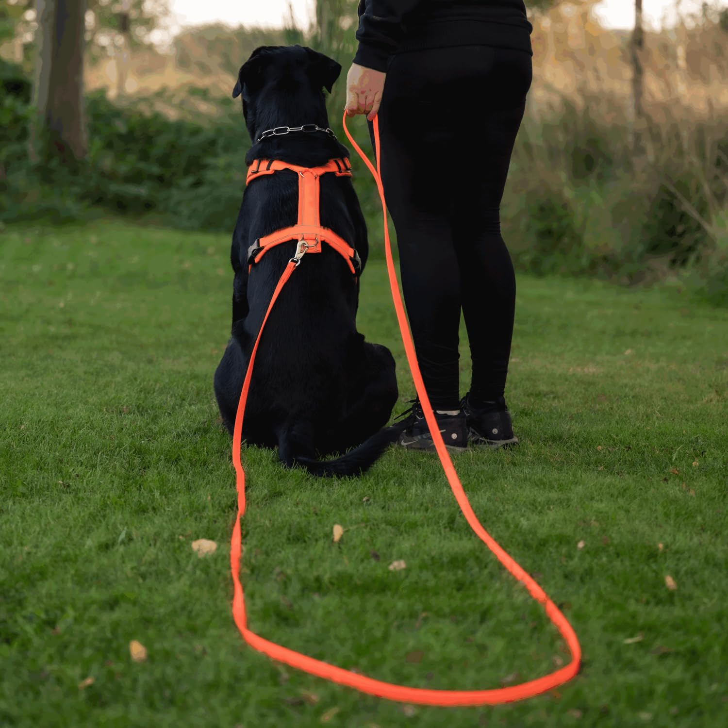 Sprenger Footballgrip BioThane® Schleppleine mit Handschlaufe, 10 m, 16 mm – Rutschfester Grip auch bei Nässe, extrem reißfest, Orange