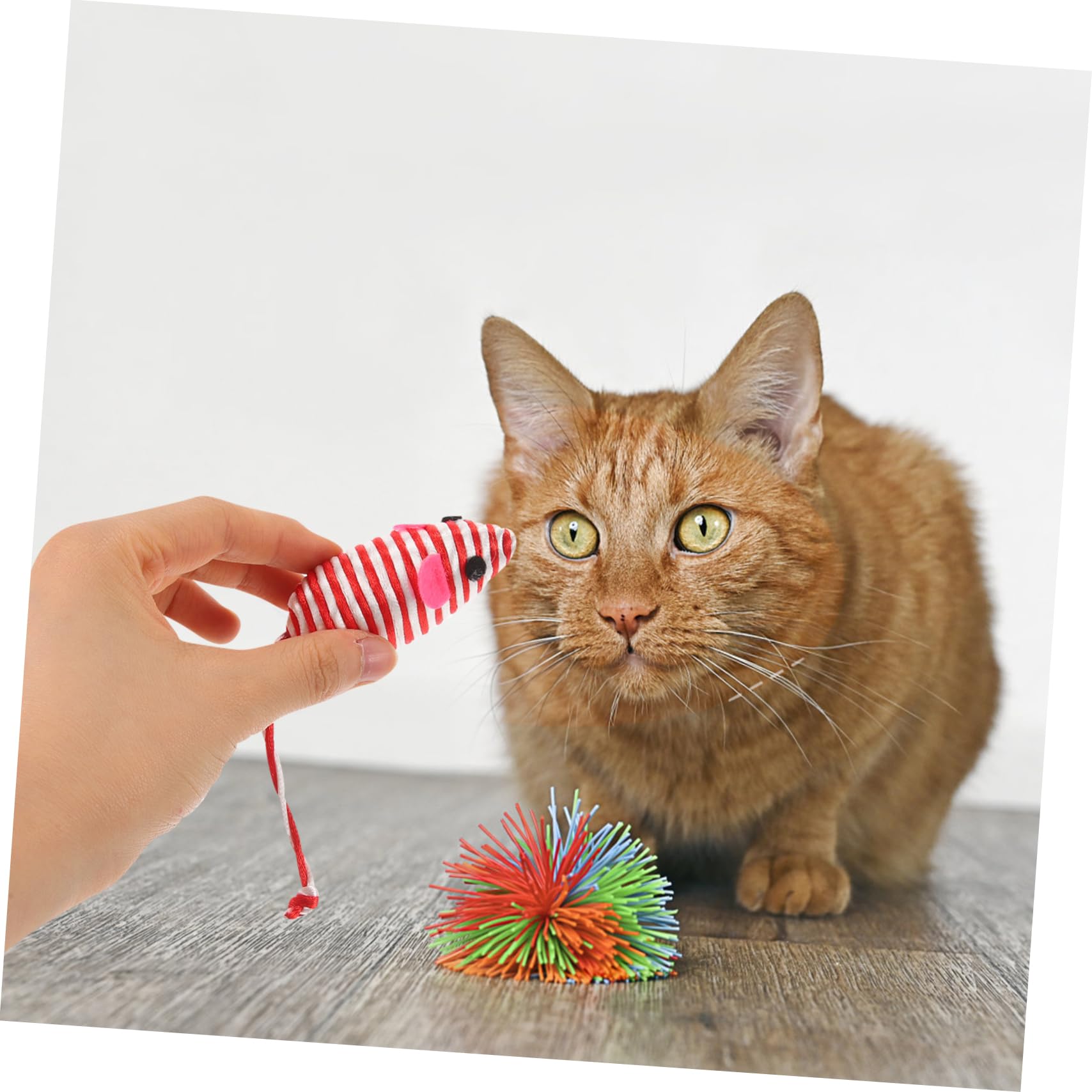 YARNOW Lot De 5 Jouets pour Chat Souris Jouet Portable pour Chasser Accessoires pour Chaton 8 Pièces X 5
