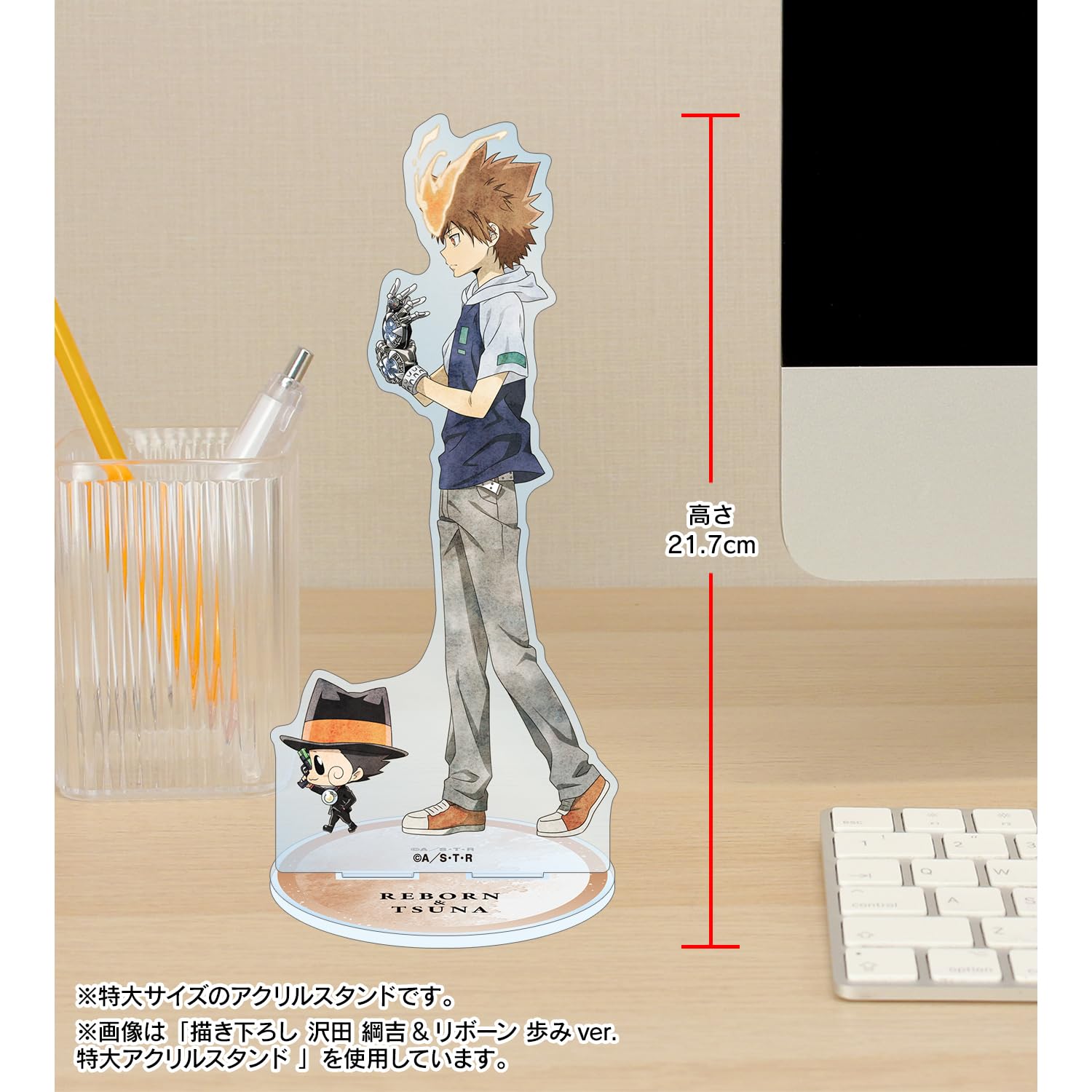 Amazon.co.jp: 家庭教師ヒットマンREBORN! 描き下ろし 雲雀 恭弥[10年 