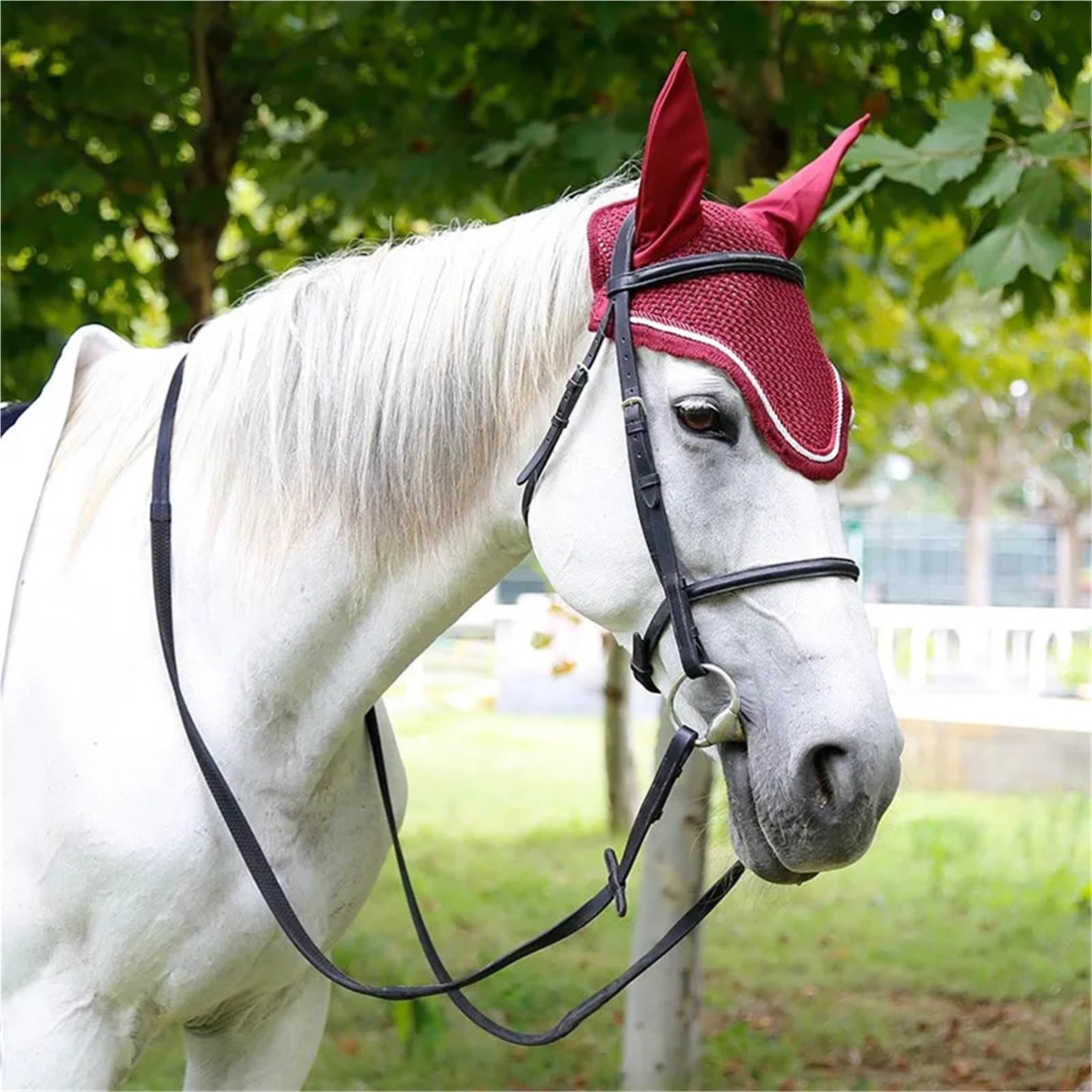 Equipaggiamento equestre Briglia for Cavallo da Equitazione Capezza for Cavallo Collare e redini for Testa di Cavallo Briglia Marrone Nera per Cavalli(Brown-L)