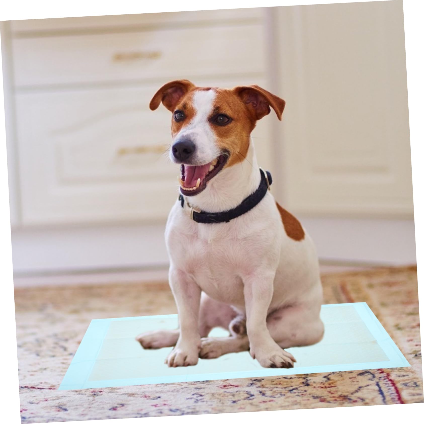 POPETPOP 2 Juegos Alfombrillas De Entrenamiento para Perros Y Cachorros Súper Absorbentes E Impermeables 100 Piezas Almohadillas para Conejos Almohadillas Absorbentes para 50 Uds * 2