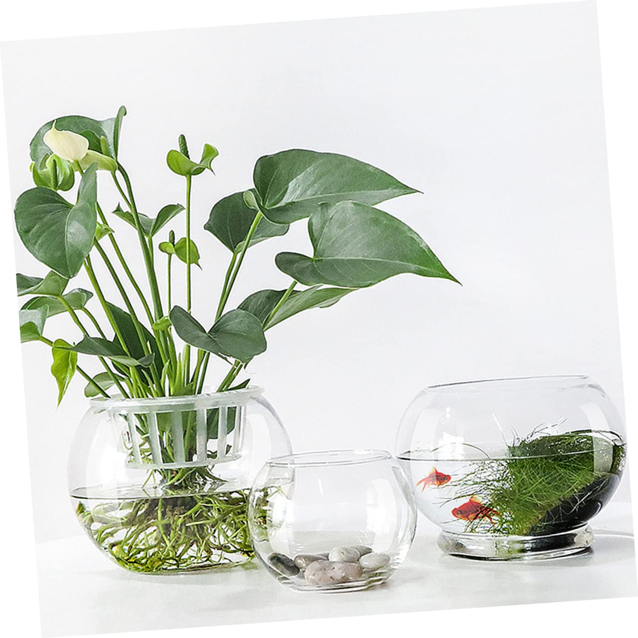 Vase en Verre Transparent Arrondi pour Plantes Hydroponiques Surface Lisse et Résistante la Rouille, Décoration de Bureau Créative pour Maison ou Hôtel