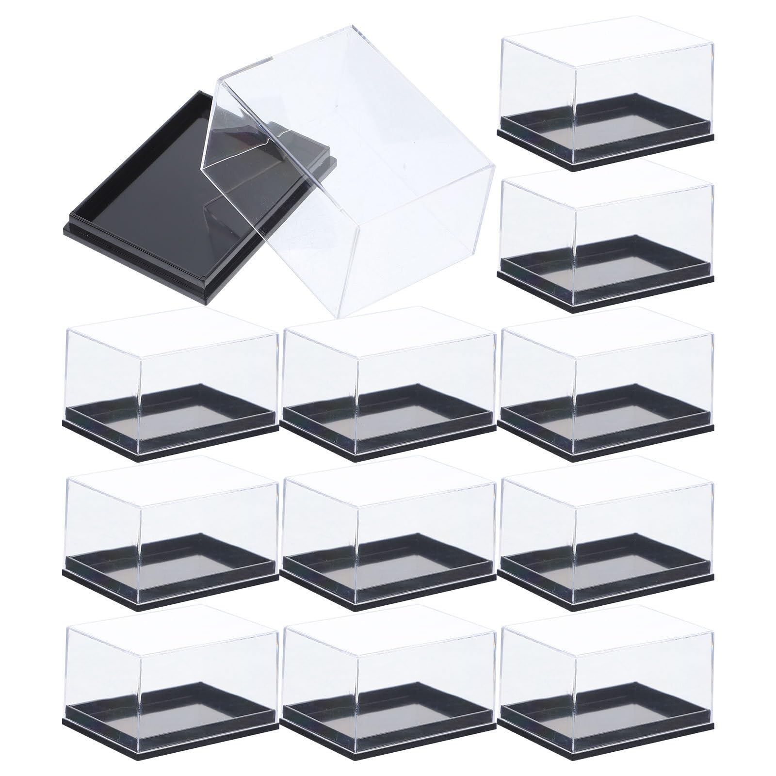 Operitacx 12Pcs display box rectangle Specimen Storage Case Specimen Case Mineral Sample Case Plastic Specimen Holder specimen box conch Storage Box shell transparent box plastic
