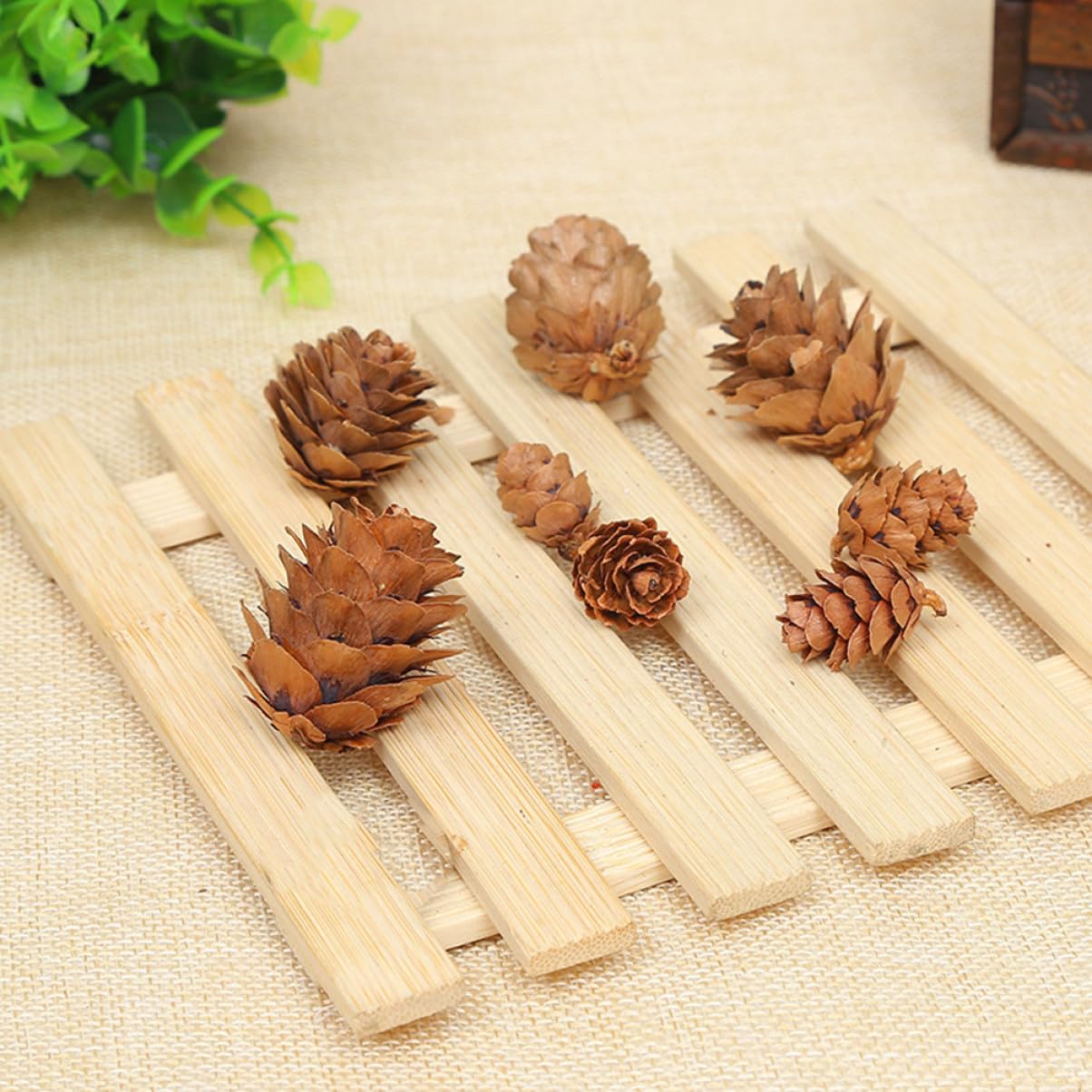 LIFKOME 210 Piezas Piñas de Mini Piñas Naturales Secas Decoraciones Hogar para Acción de Gracias y Navidad