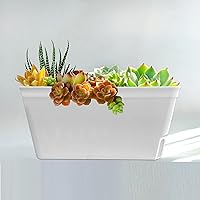 Vista 10 de Olly & Rose Lazy Planters - Macetas de riego automático - Paquete de 3 macetas - (negro mate)