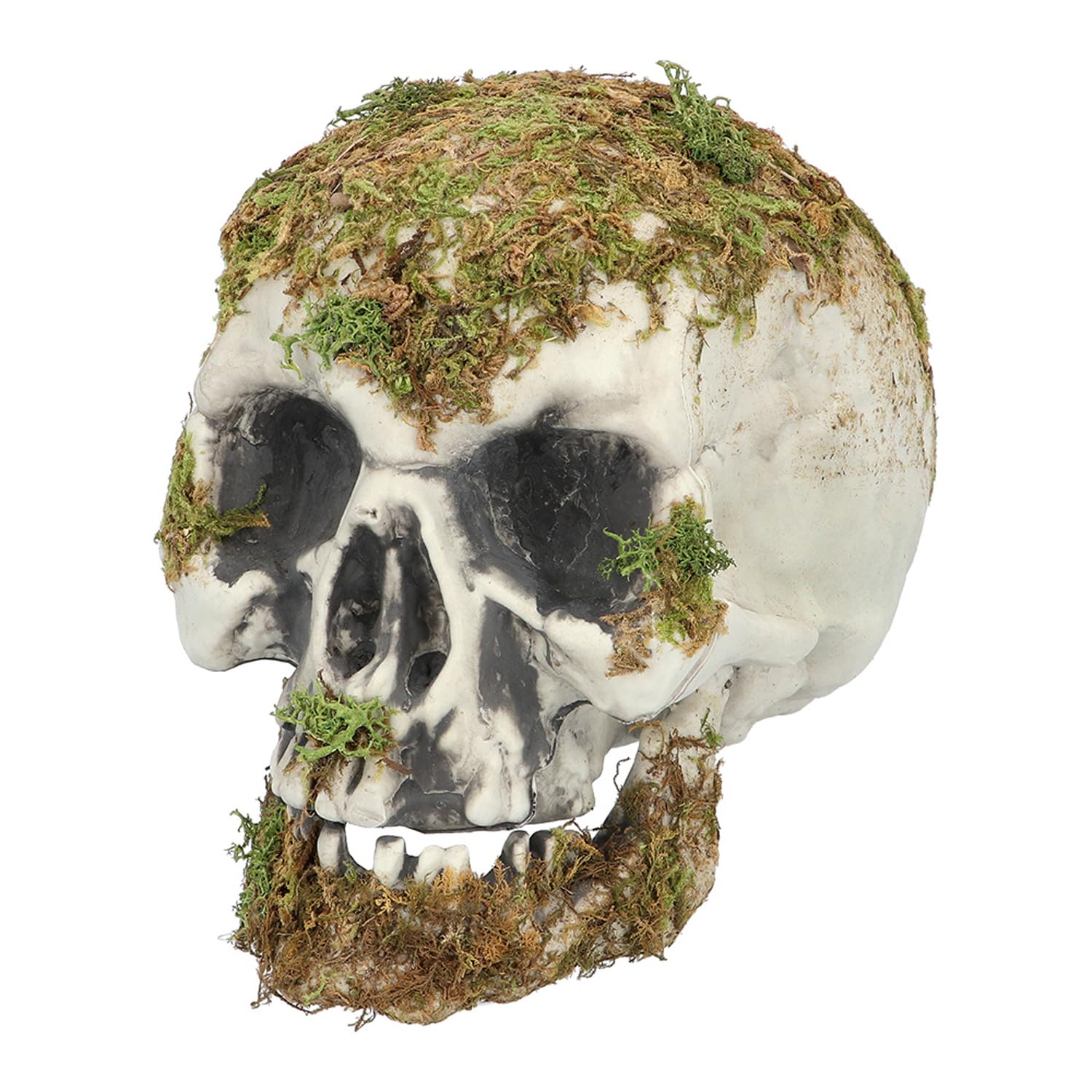 Boland - Swamp Skull - Party Decoration