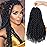 Nice One Pre-Twisted Passion Twist Hair 18 Inch, 112 Strands Long Passion Twist Crochet Hair for Women 8 Packs Pre-Looped Passion Twists Braiding Synthetic Hair Extensions (18 Inch (Pack of 8), 1B)