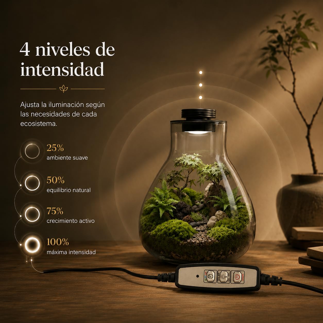 Tapa Smart LED para Terrario 10cm con Ventilación Regulable | Tapa metálica negra con USB, temporizador e intensidad ajustable para terrarios y jardines eternos