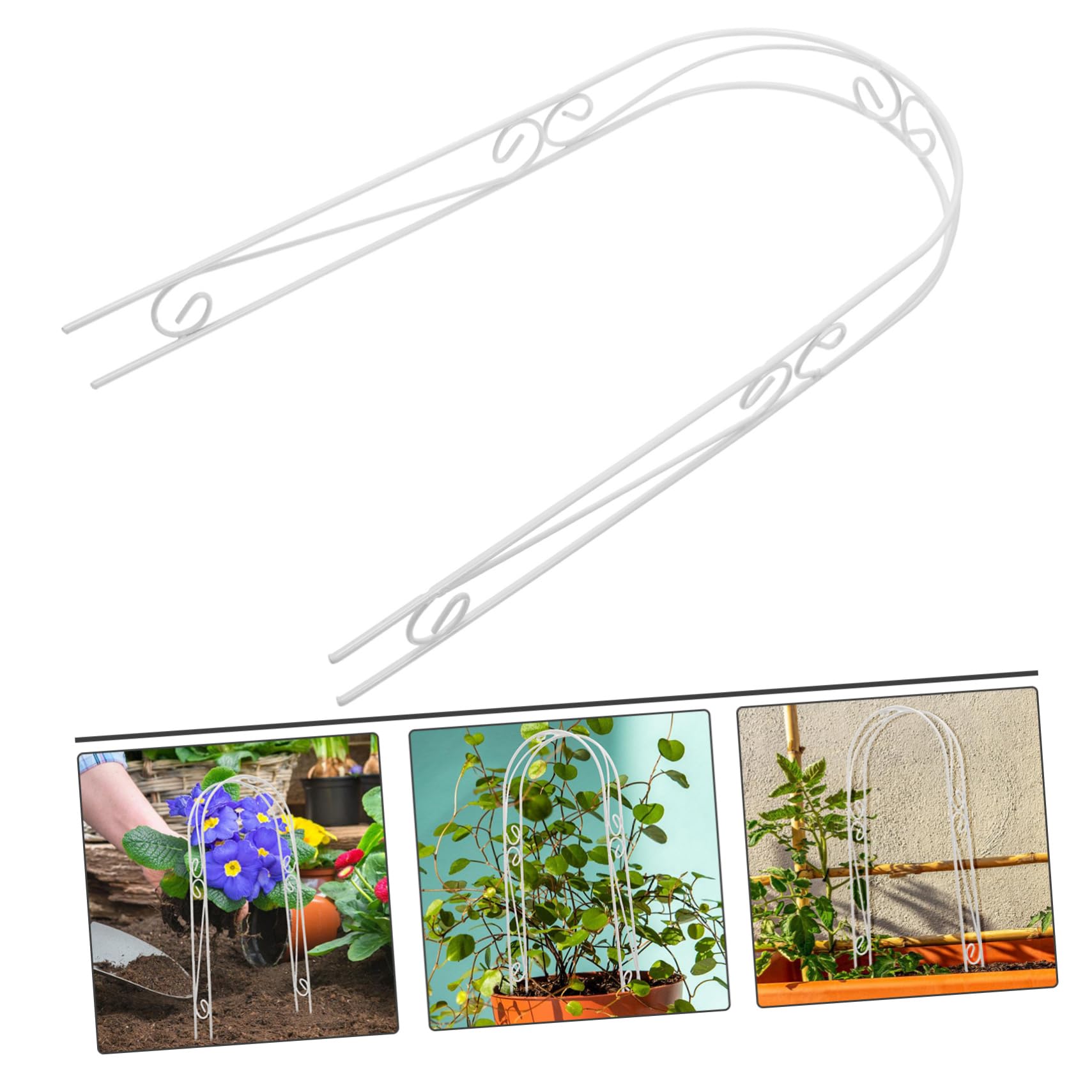 BESPORTBLE 5 Pièces Tuteurs pour Plantes d'intérieur Filets Treillis végétal Accessoire Jardinage Accessoires Jardinage Arche végétale pour Support Plante d'intérieur Poteau de Mousse Pliable