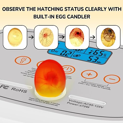 Miniatura 4 de Incubadoras para incubar de 24 a 50 huevos con indicación de humedad y control de temperatura, vela de huevo, incubadoras automáticas de aves de