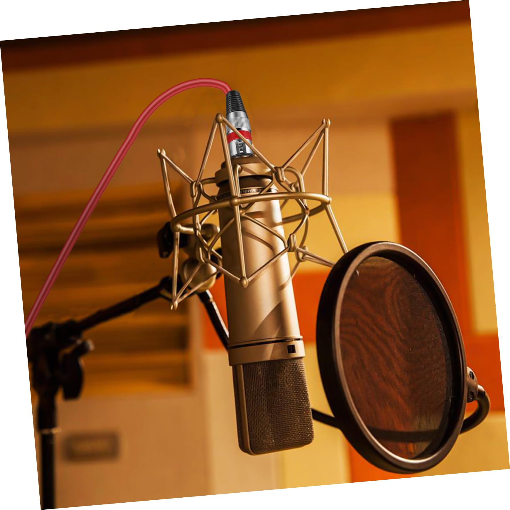 Cavo Microfono Xlr Maschio-femmina Cavo Patch Xlr Lunghezza Sufficiente