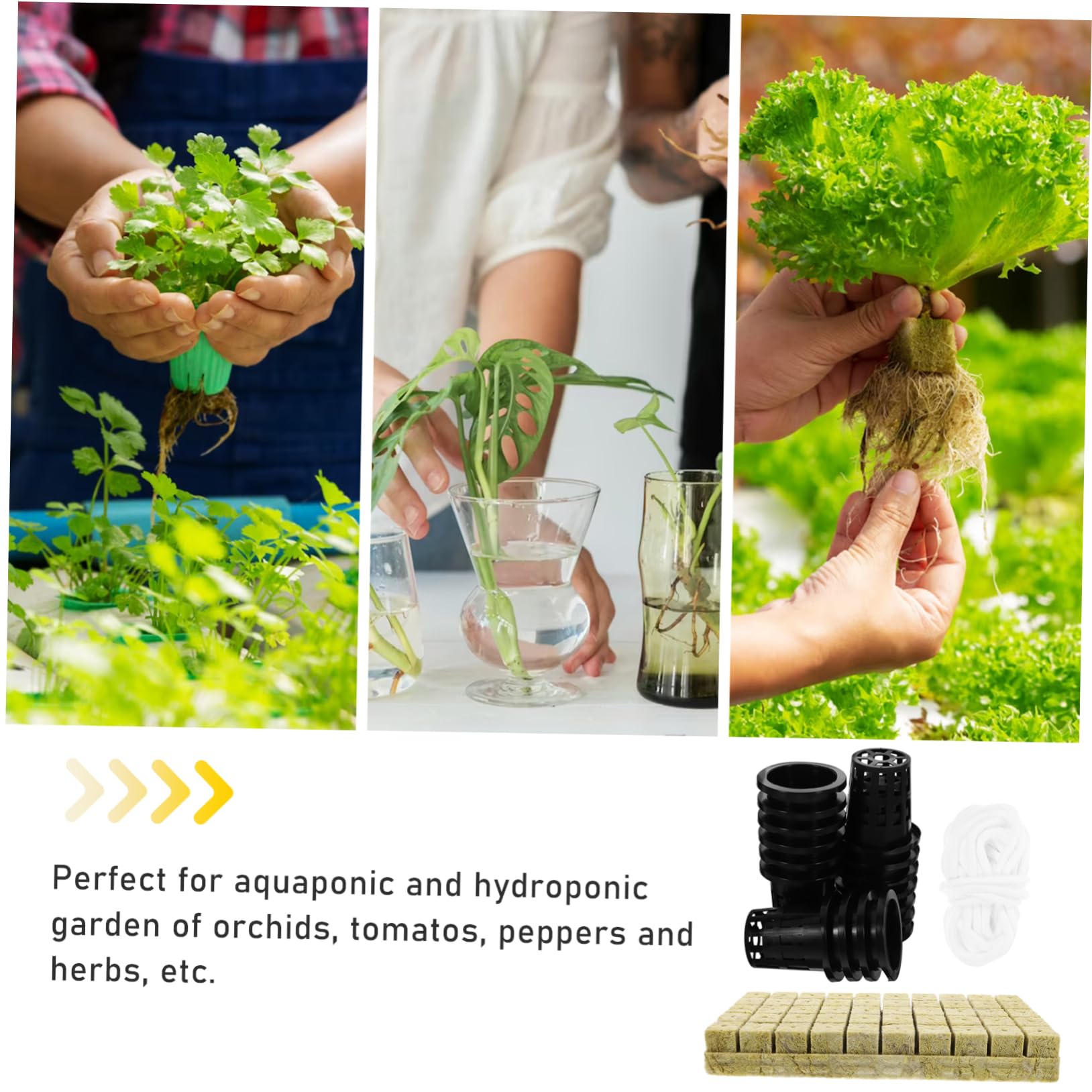 BESPORTBLE 3sätze Hydroponik Anzuchtsystem Kit Mit Mineralwolle Und Selbstbewässerung Pflanzkörbe Und Schnur Für Blumen Und Gemüse Für Indoor-