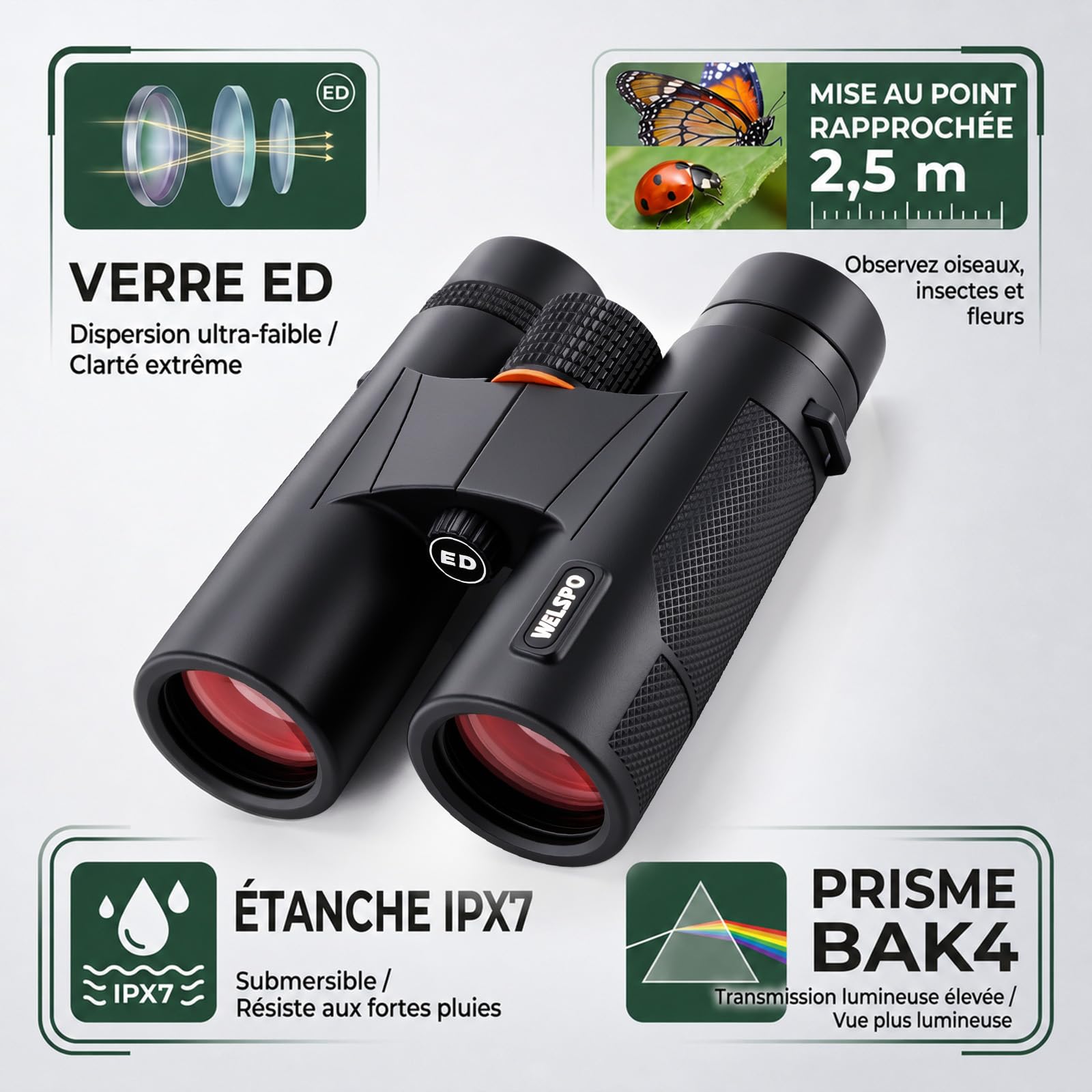 WELSPO Jumelles étanches pour l'observation des oiseaux et les voyages