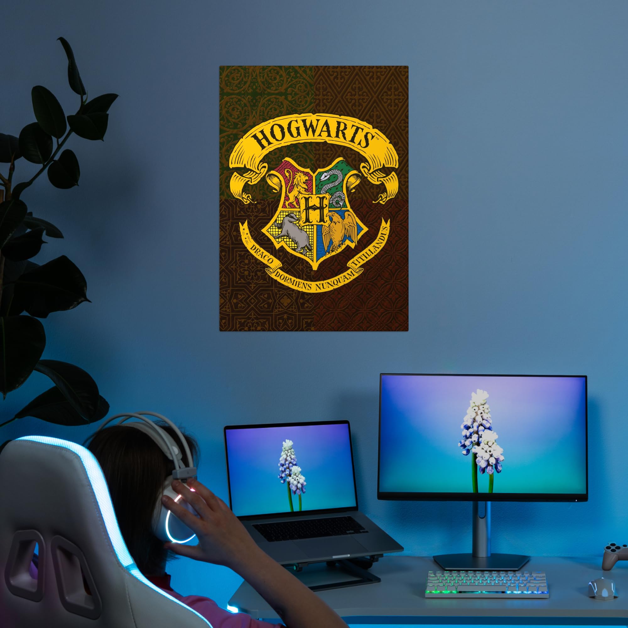 Displate Metallposter Wizarding World Hogwarts Classic Emblem Wanddeko Poster für Schlafzimmer Magnetische Befestigung 32 x 45 cm