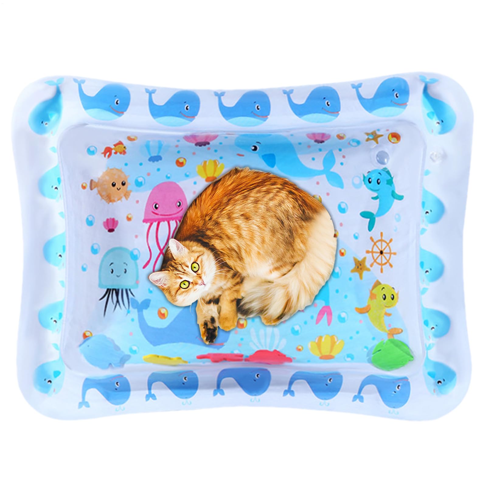 Lit à eau pour chat gonflable : fini la surchauffe en été