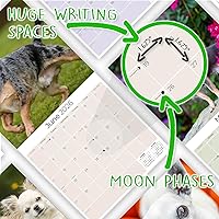 Vista 801 de Razas de Perros 2017